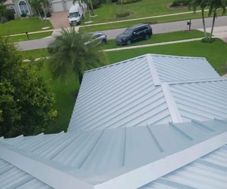 Lion King Roofing