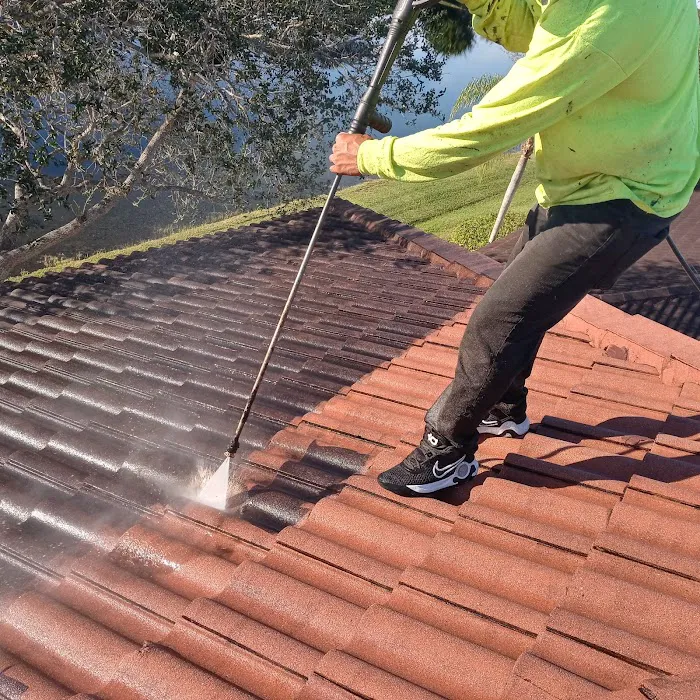 Lainez master services llc Picture 10