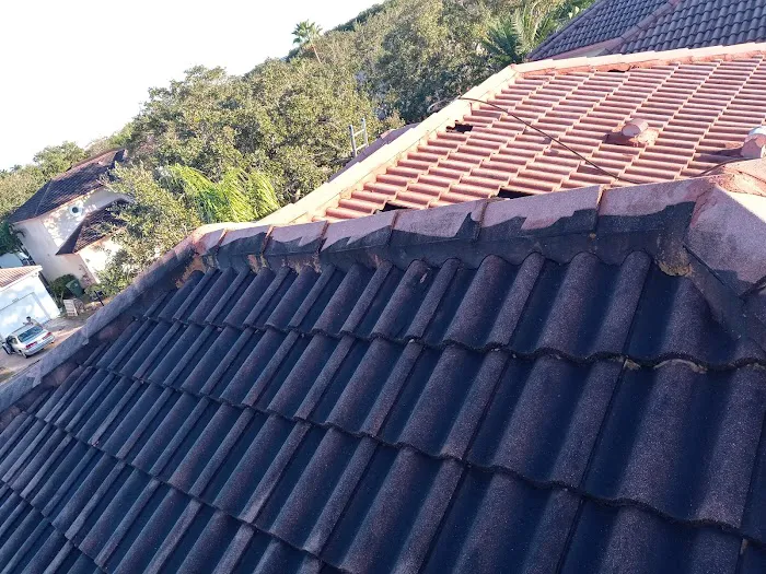 Lainez master services llc Picture 9