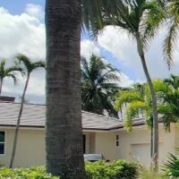 Jovil Roofing Corporation ico