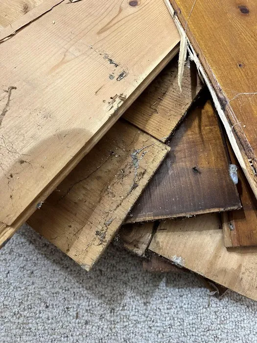 AVA Mold Removal Picture 5