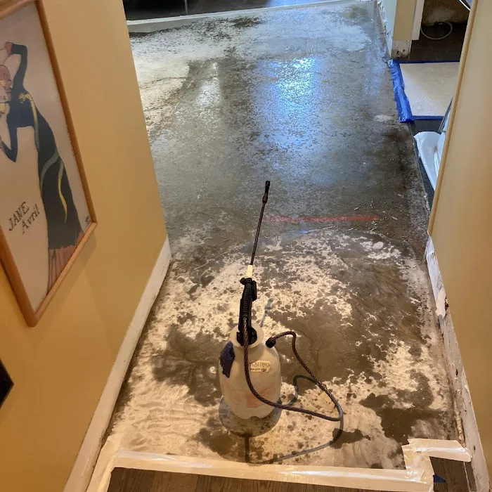 AVA Mold Removal Picture 7