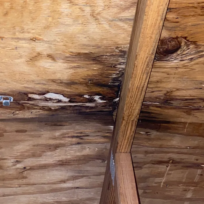 Apex Summit Roofing LLC Picture 10