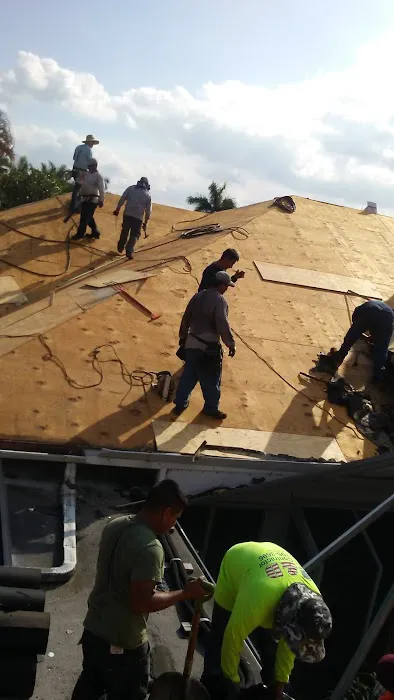 Harrington & Sons Inc Picture 3