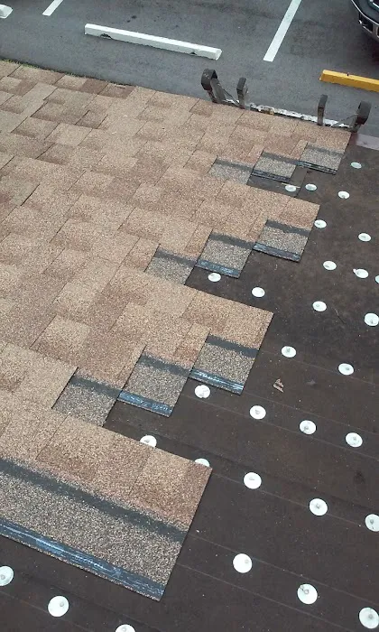 Harrington & Sons Inc Picture 2