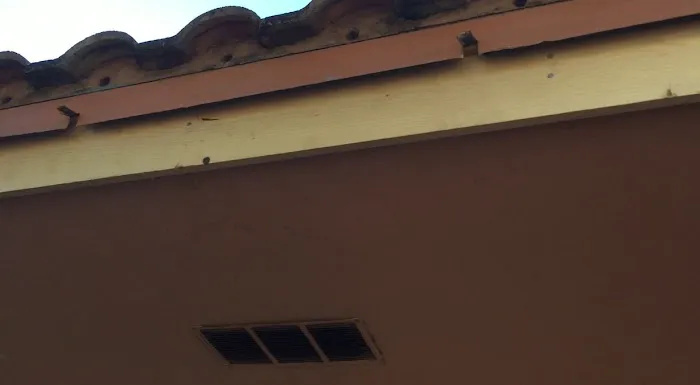 RAINSHIELD ROOFING CORP (Suntek) Picture 4