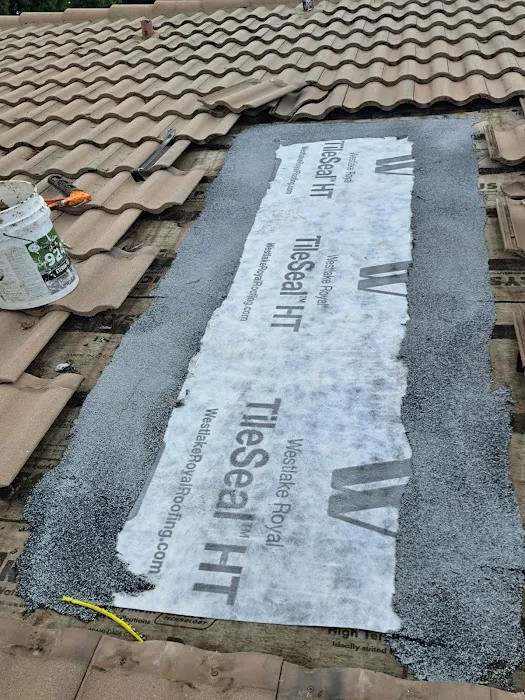 RAINSHIELD ROOFING CORP (Suntek) Picture 8