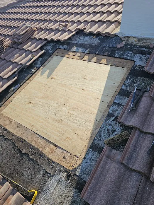 RAINSHIELD ROOFING CORP (Suntek) Picture 5