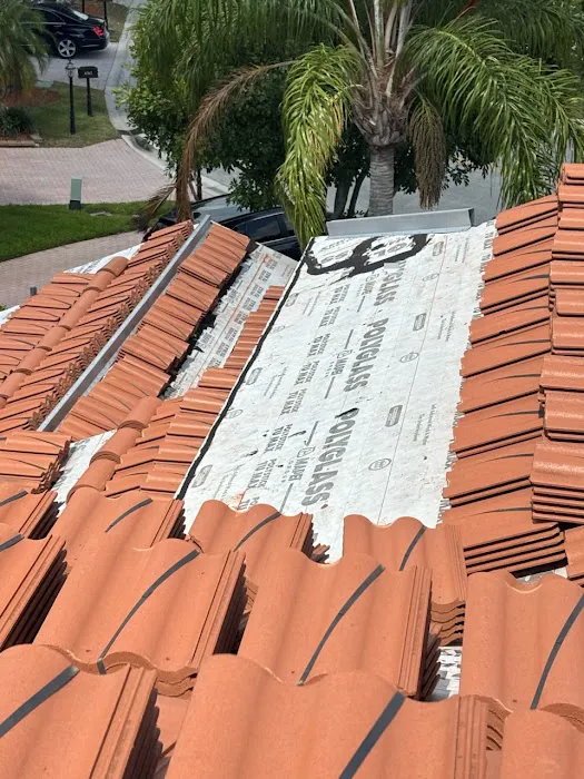 Dan the Shingle Man Roofing Picture 3