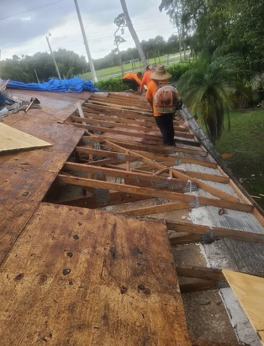 Dan the Shingle Man Roofing Picture 10