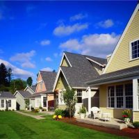 Pine Roofing Services Lauderhill ico