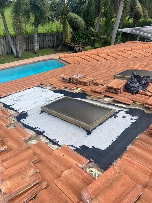 Dragon Shield Roofing Picture 1