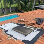 Dragon Shield Roofing