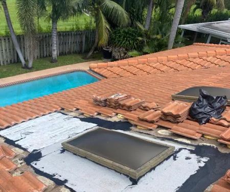 Dragon Shield Roofing