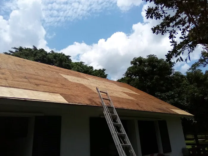 Dragon Shield Roofing Picture 2