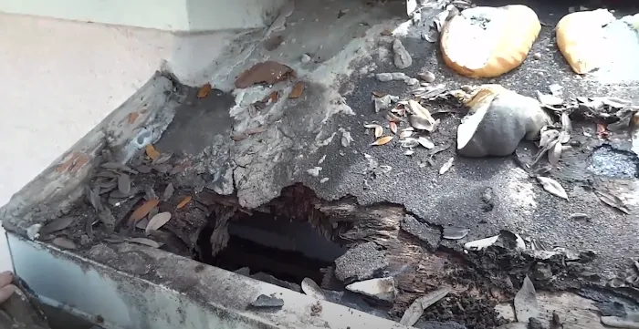 Roofing Company Near Me Deerfield Beach Picture 8