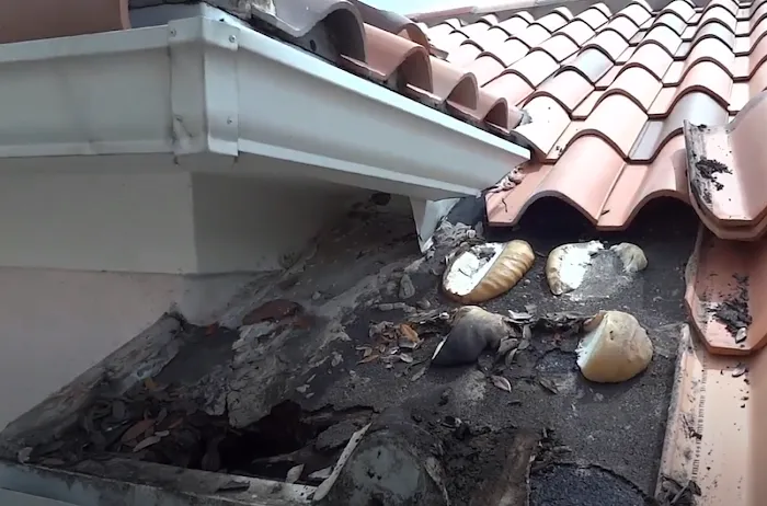 Roofing Company Near Me Deerfield Beach Picture 10