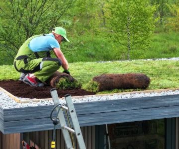 The Environmental Impact of Your Roofing Choices: A Guide to Sustainable Options