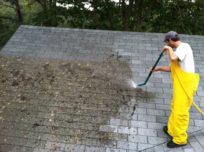 How to Safely Remove Moss and Algae from Your Roof | Pro Found Roofing