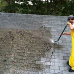 How to Safely Remove Moss and Algae from Your Roof | Pro Found Roofing