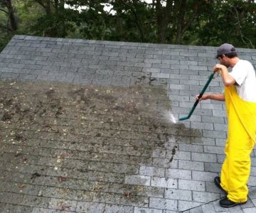 How to Safely Remove Moss and Algae from Your Roof | Pro Found Roofing