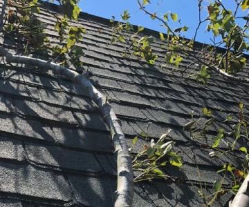 How to Inspect Your Roof for Damage After a Hailstorm | Pro Found Roofing
