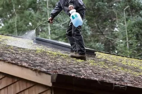 How to Safely Remove Moss and Algae from Your Roof - Step-by-Step Guide
