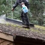 How to Safely Remove Moss and Algae from Your Roof - Step-by-Step Guide
