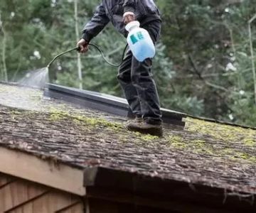 How to Safely Remove Moss and Algae from Your Roof - Step-by-Step Guide