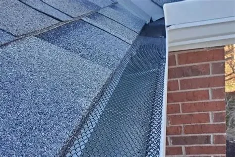 The Role of Gutters in Protecting Your Roof – Why They Matter