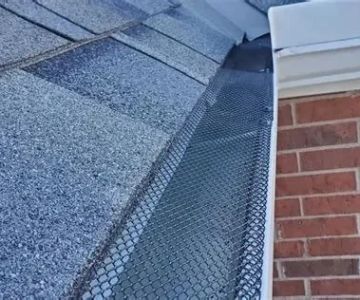 The Role of Gutters in Protecting Your Roof – Why They Matter