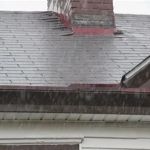 What to Do If Your Roof Starts Leaking During a Storm