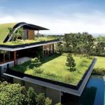 The Environmental Impact of Your Roofing Choices: Making Eco-Friendly Decisions