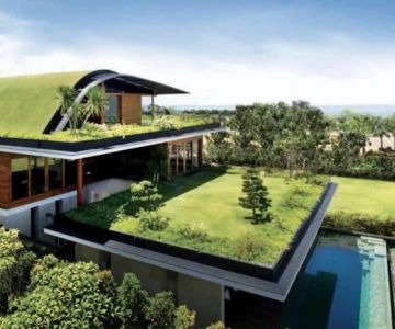 The Environmental Impact of Your Roofing Choices: Making Eco-Friendly Decisions