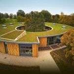 Green Roofing Solutions for Sustainable Homes in the U.S. | Pro Found Roofing
