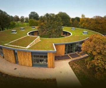 Green Roofing Solutions for Sustainable Homes in the U.S. | Pro Found Roofing