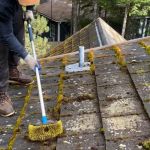 How to Safely Remove Moss and Algae from Your Roof: A Step-by-Step Guide