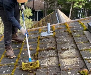 How to Safely Remove Moss and Algae from Your Roof: A Step-by-Step Guide
