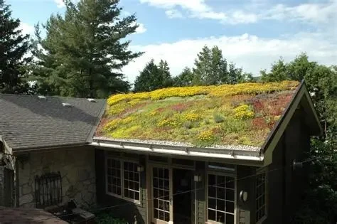 Green Roofing Solutions for Sustainable Homes in the U.S.: Eco-Friendly Options for Your Roof