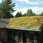 Green Roofing Solutions for Sustainable Homes in the U.S.: Eco-Friendly Options for Your Roof