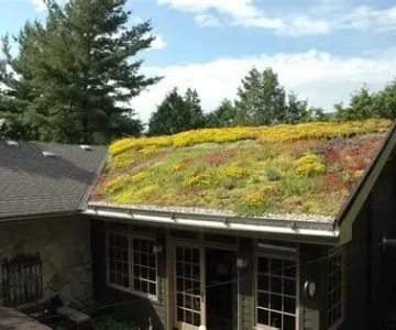 Green Roofing Solutions for Sustainable Homes in the U.S.: Eco-Friendly Options for Your Roof