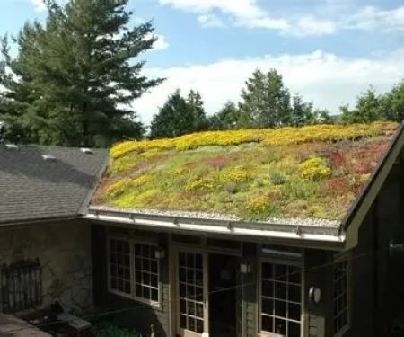 Green Roofing Solutions for Sustainable Homes in the U.S.: Eco-Friendly Options for Your Roof