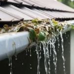 How to Clean and Maintain Your Roof to Extend Its Life