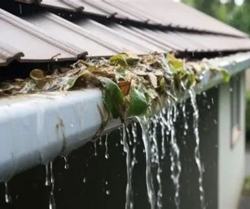 How to Clean and Maintain Your Roof to Extend Its Life