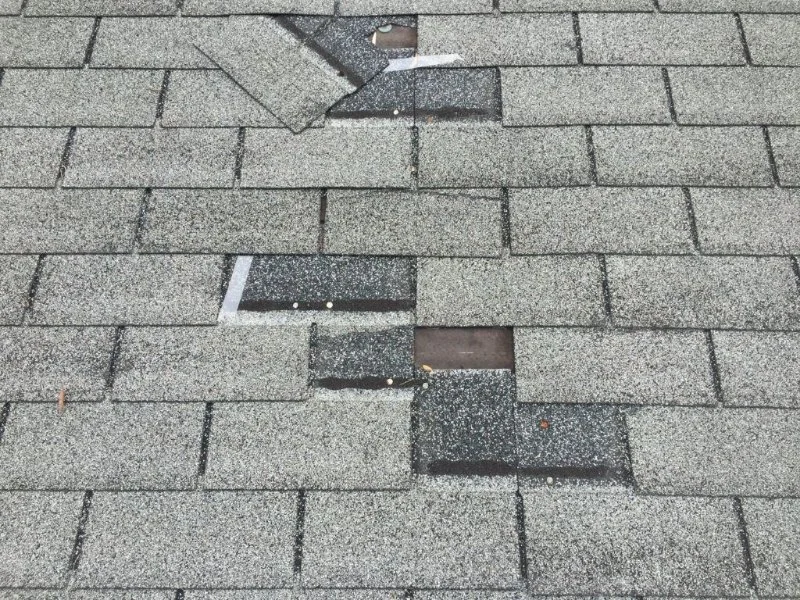 How to Spot Wind Damage: Creased, Lifted, or Missing Shingles