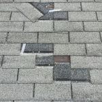 How to Spot Wind Damage: Creased, Lifted, or Missing Shingles