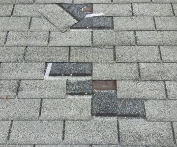How to Spot Wind Damage: Creased, Lifted, or Missing Shingles
