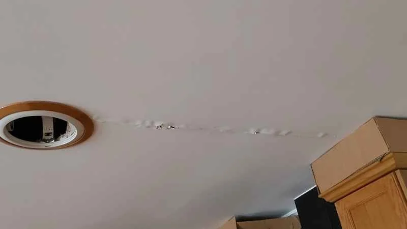 Ceiling Stains: How to Tell if It’s a Roof Leak or a Plumbing Problem