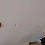 Ceiling Stains: How to Tell if It’s a Roof Leak or a Plumbing Problem