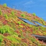 Understanding Green Roofs: Benefits, Installation, and Considerations